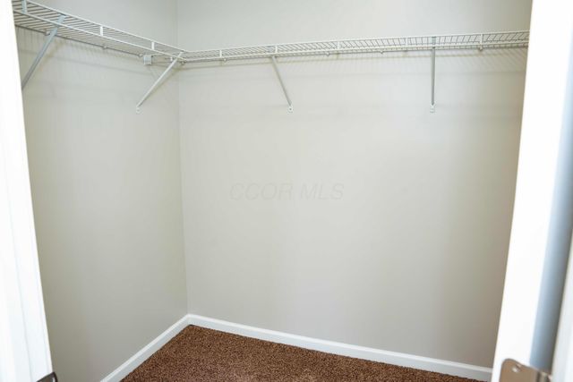 112 Purple Leaf Lane, Lewis Center, OH 43035