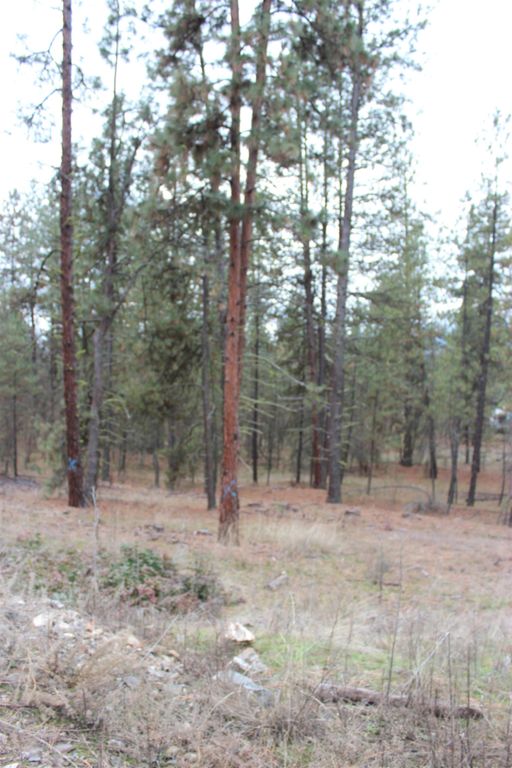 1477L College Ln, Kettle Falls, WA 99141 photo 2