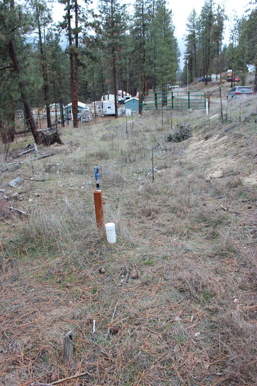 1477L College Ln, Kettle Falls, WA 99141 photo 11