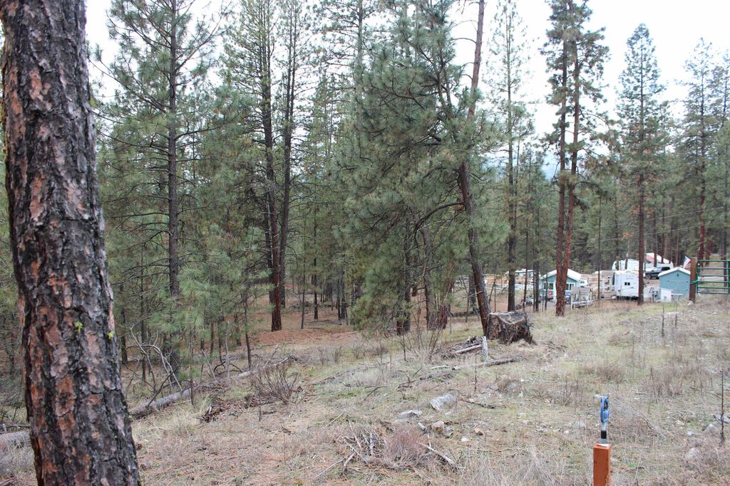 1477L College Ln, Kettle Falls, WA 99141 photo 12