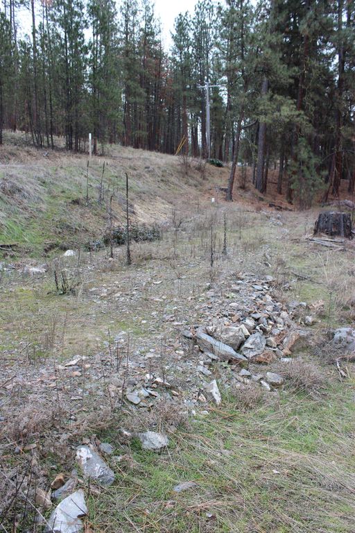 1477L College Ln, Kettle Falls, WA 99141 photo 13