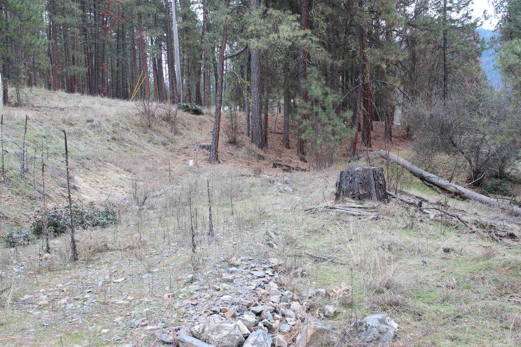 1477L College Ln, Kettle Falls, WA 99141 photo 14