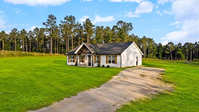 692 Rolling Pines Drive, Livingston, TX 77351