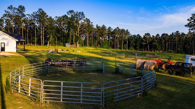 692 Rolling Pines Drive, Livingston, TX 77351