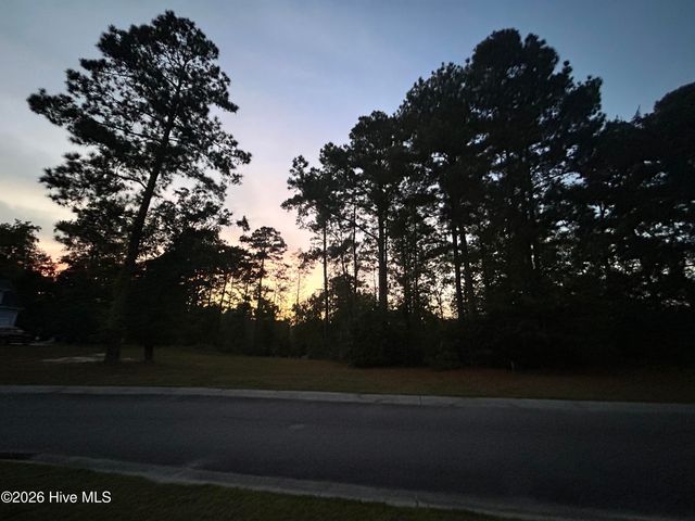 9738 Salty Apple Circle NE, Leland, NC 28451
