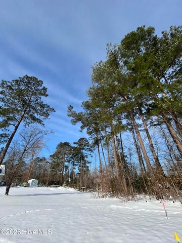 9738 Salty Apple Circle NE, Leland, NC 28451