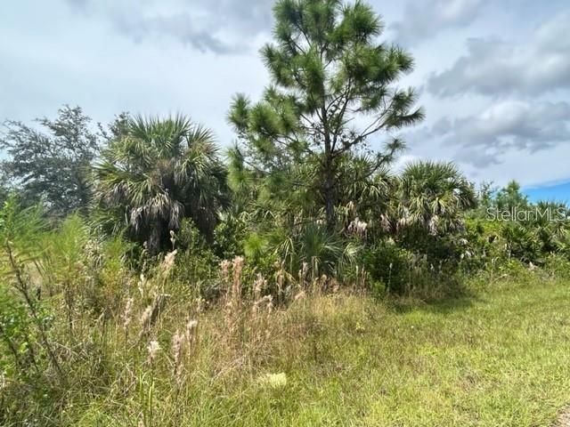 10027 HACKENSACK STREET, Port Charlotte, FL 33981