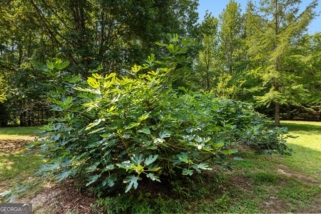 6536 Luthersville Road, Gay, GA 30218