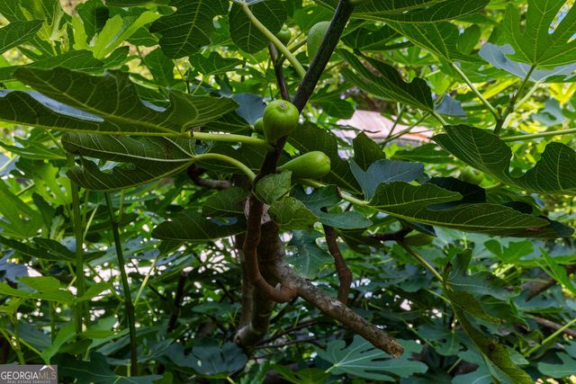 6536 Luthersville Road, Gay, GA 30218