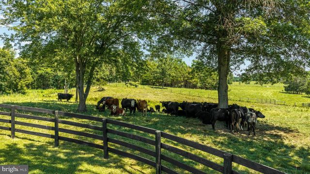129 RIDGEWAY RD, Front Royal, VA 22630