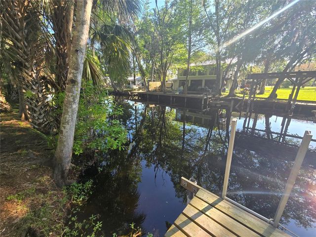 56290 CHERRY TREE ROAD, Astor, FL 32102