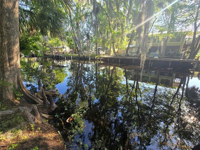 56290 CHERRY TREE ROAD, Astor, FL 32102