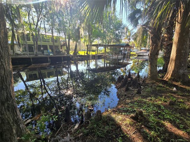 56290 CHERRY TREE ROAD, Astor, FL 32102