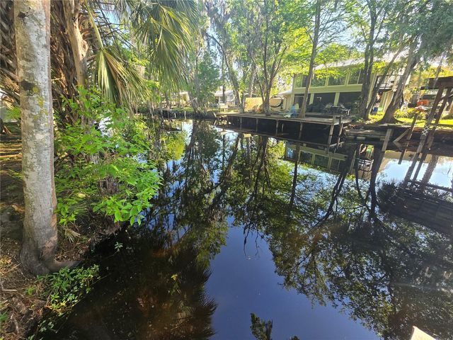56290 CHERRY TREE ROAD, Astor, FL 32102