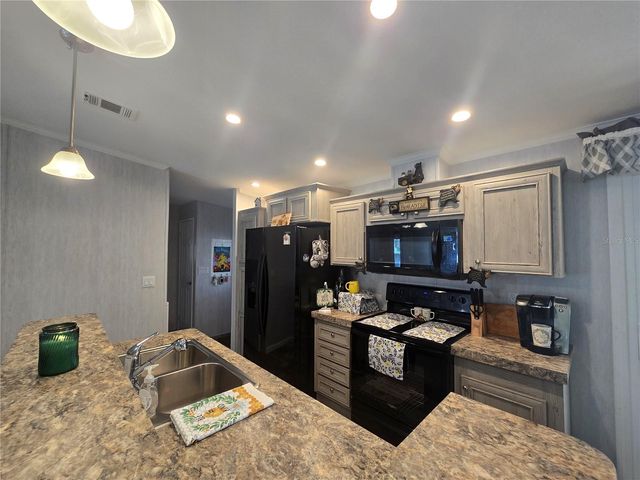 56290 CHERRY TREE ROAD, Astor, FL 32102