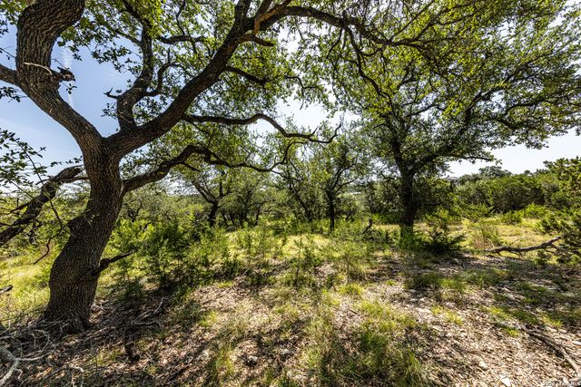 2610 River Way, Spring Branch, TX 78070