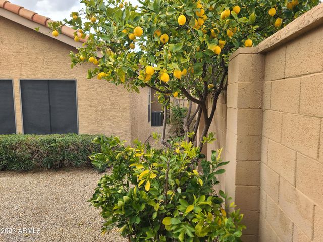 15825 N 51st Street, Scottsdale, AZ 85254