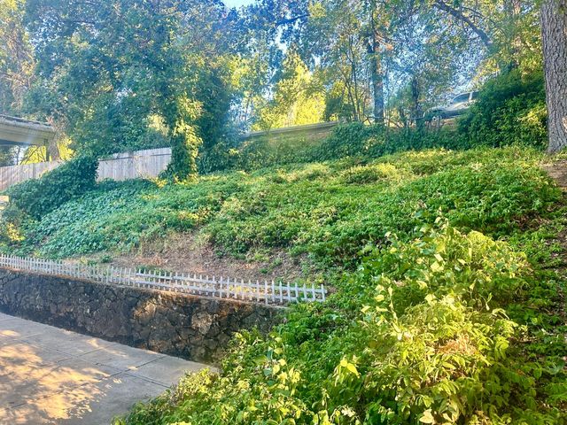 936 Spring St, Placerville, CA 95667