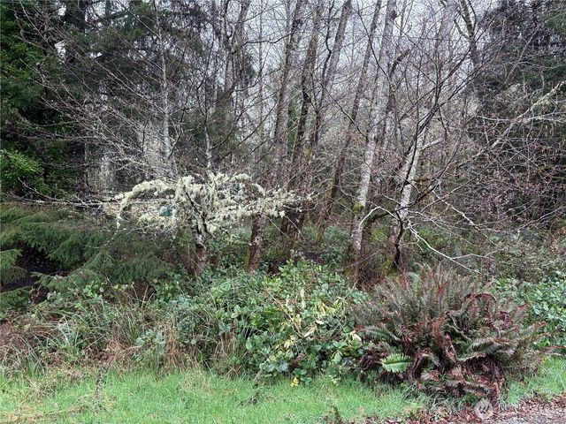 303 XX Stackpole Lane, Ocean Park, WA 98640