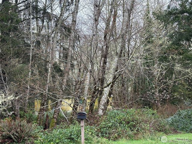 303 XX Stackpole Lane, Ocean Park, WA 98640