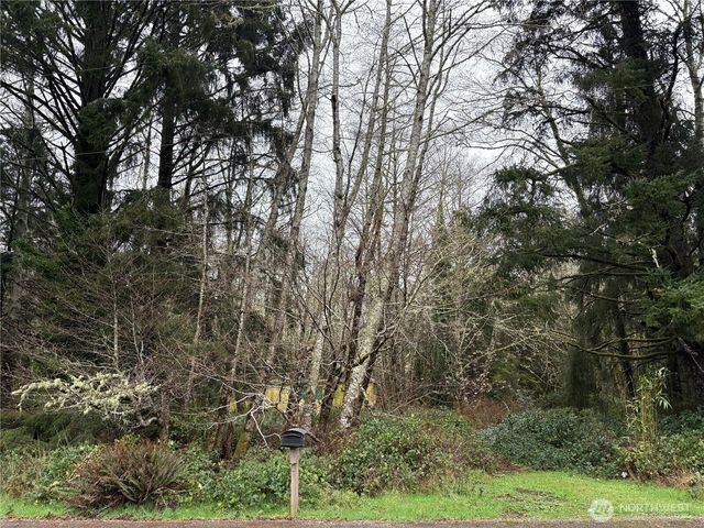 303 XX Stackpole Lane, Ocean Park, WA 98640