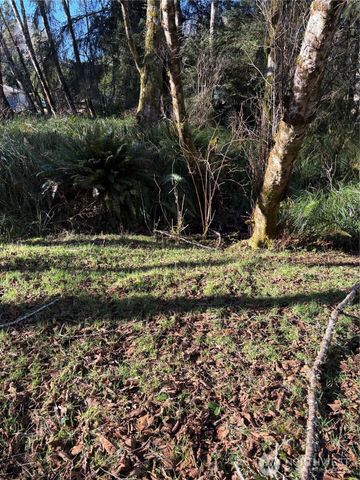 303 XX Stackpole Lane, Ocean Park, WA 98640