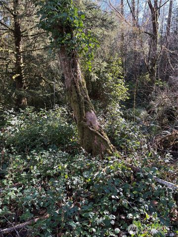 303 XX Stackpole Lane, Ocean Park, WA 98640