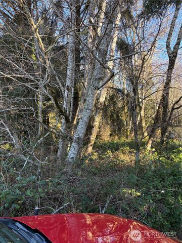 303 XX Stackpole Lane, Ocean Park, WA 98640