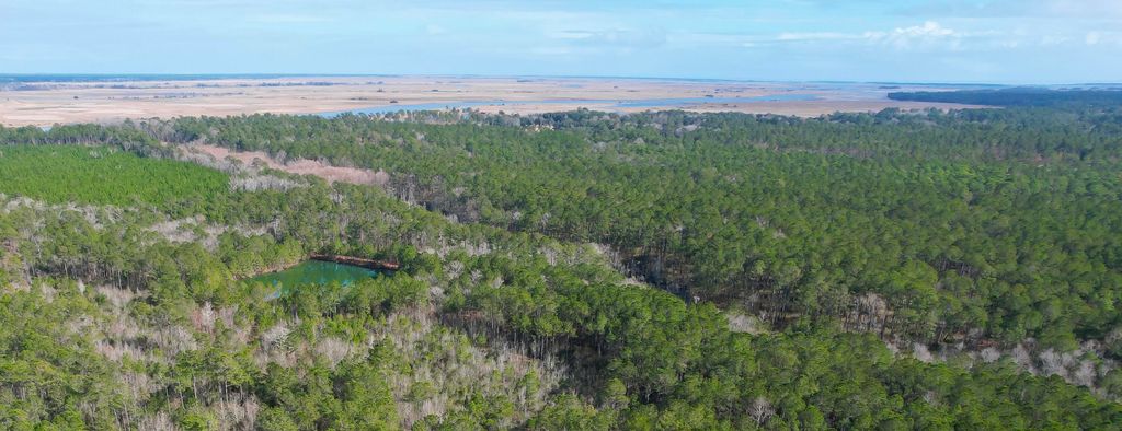 0 S Santee Road, Mcclellanville, SC 29458