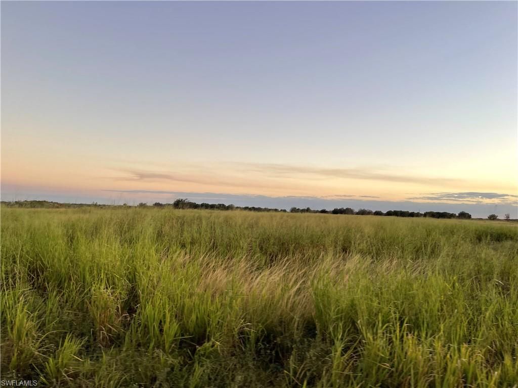 6676 5th RD, LABELLE, FL 33935 — photo 3