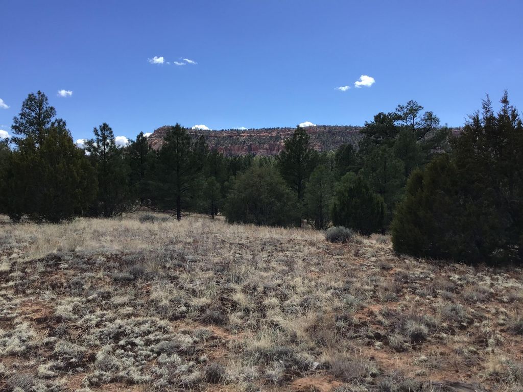 Image 1 of property listing at Lot 28 Monte Vista Lane, Ramah, NM 87321