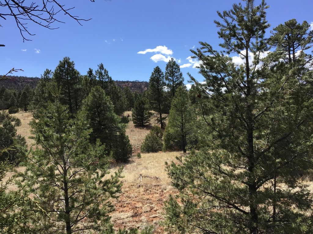 Image 10 of property listing at Lot 28 Monte Vista Lane, Ramah, NM 87321