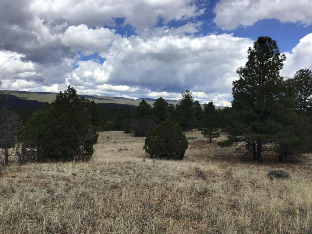Image 11 of property listing at Lot 28 Monte Vista Lane, Ramah, NM 87321