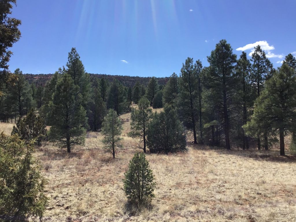Image 12 of property listing at Lot 28 Monte Vista Lane, Ramah, NM 87321