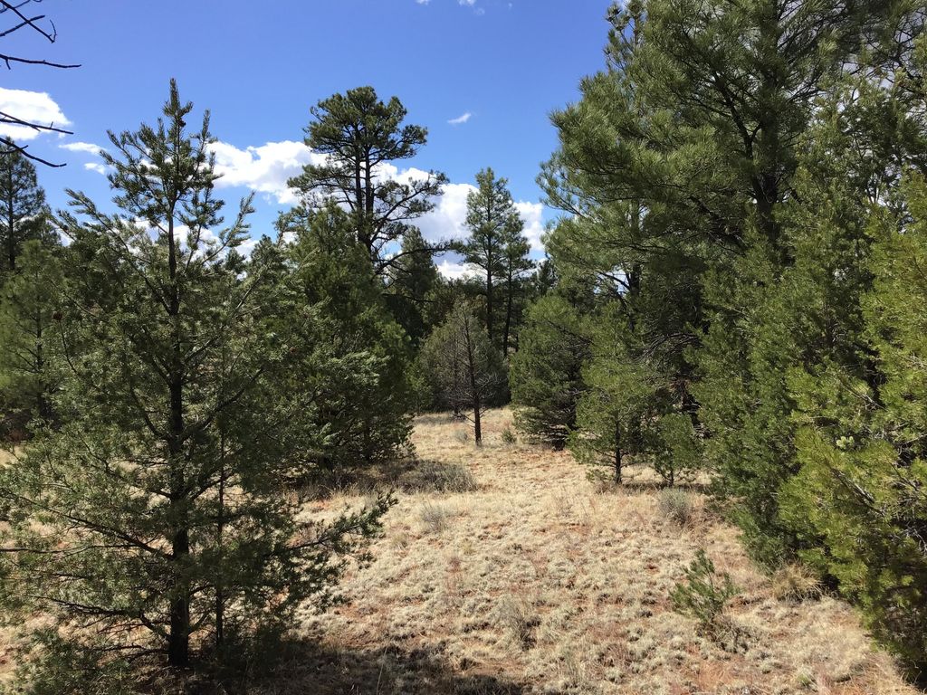 Image 13 of property listing at Lot 28 Monte Vista Lane, Ramah, NM 87321