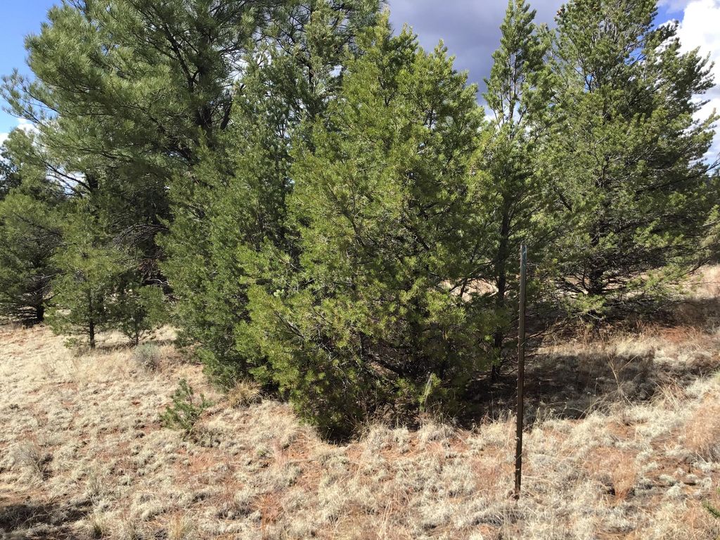 Image 14 of property listing at Lot 28 Monte Vista Lane, Ramah, NM 87321