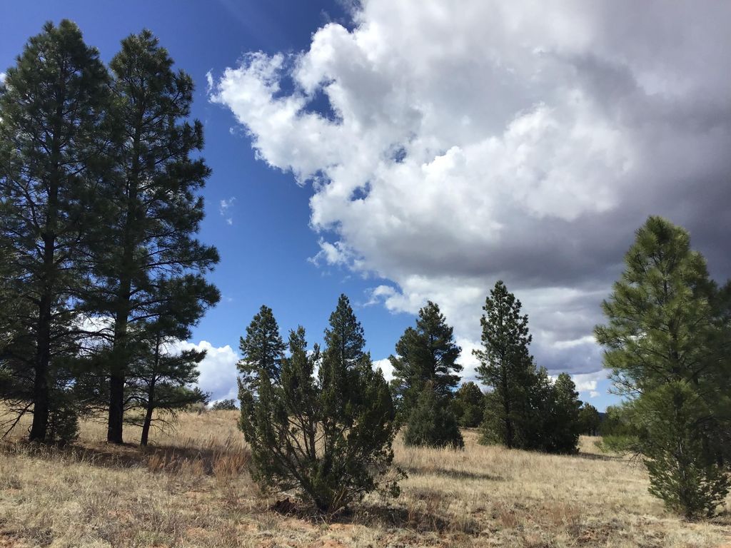 Image 16 of property listing at Lot 28 Monte Vista Lane, Ramah, NM 87321