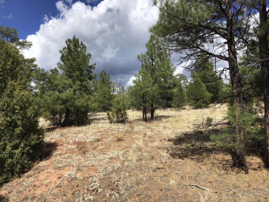 Image 17 of property listing at Lot 28 Monte Vista Lane, Ramah, NM 87321