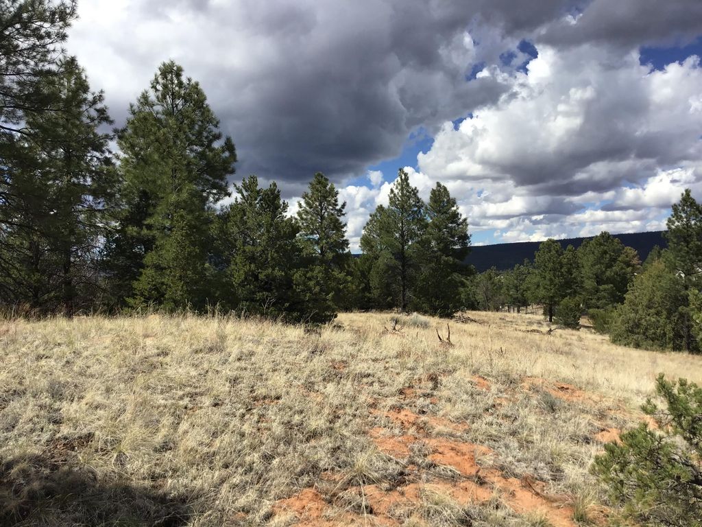 Image 18 of property listing at Lot 28 Monte Vista Lane, Ramah, NM 87321