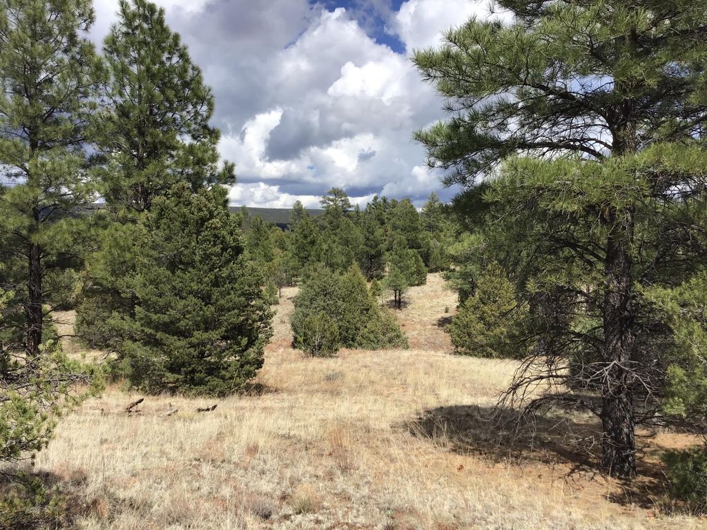 Image 19 of property listing at Lot 28 Monte Vista Lane, Ramah, NM 87321