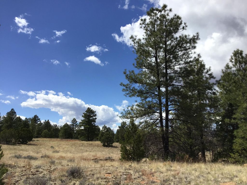 Image 20 of property listing at Lot 28 Monte Vista Lane, Ramah, NM 87321