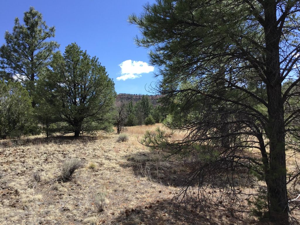 Image 21 of property listing at Lot 28 Monte Vista Lane, Ramah, NM 87321