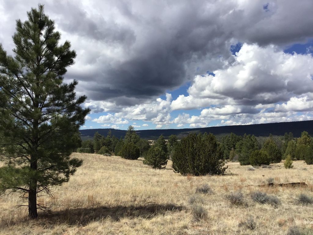 Image 22 of property listing at Lot 28 Monte Vista Lane, Ramah, NM 87321