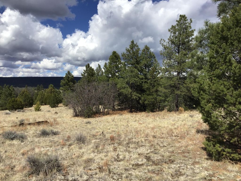 Image 23 of property listing at Lot 28 Monte Vista Lane, Ramah, NM 87321