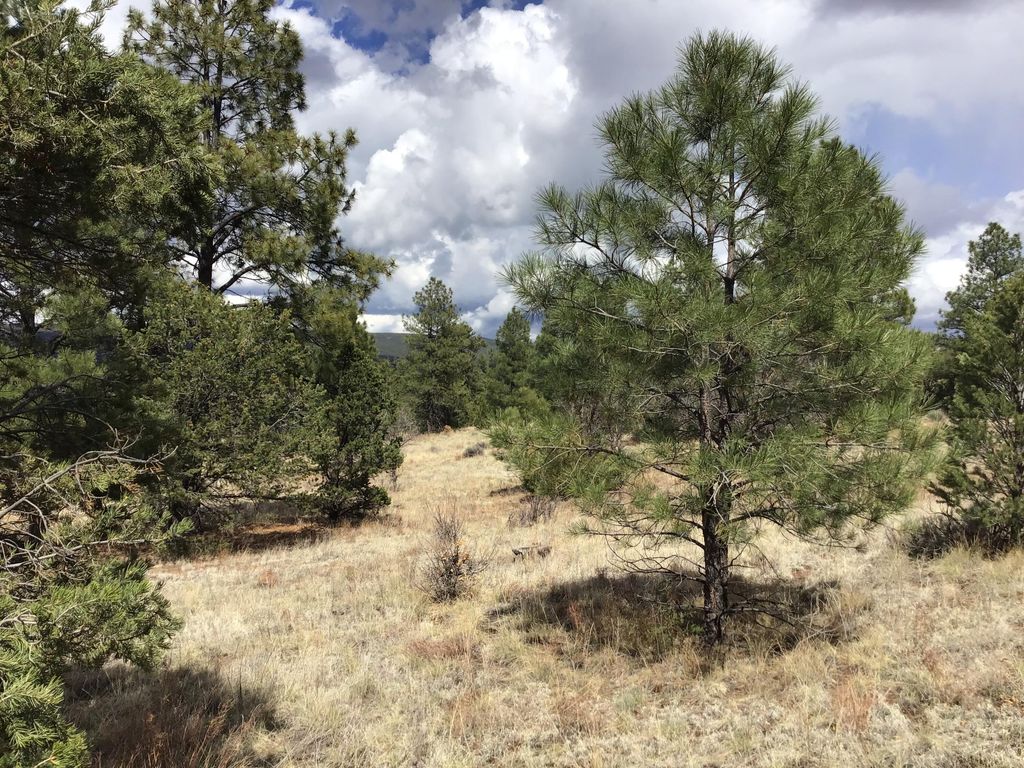 Image 24 of property listing at Lot 28 Monte Vista Lane, Ramah, NM 87321
