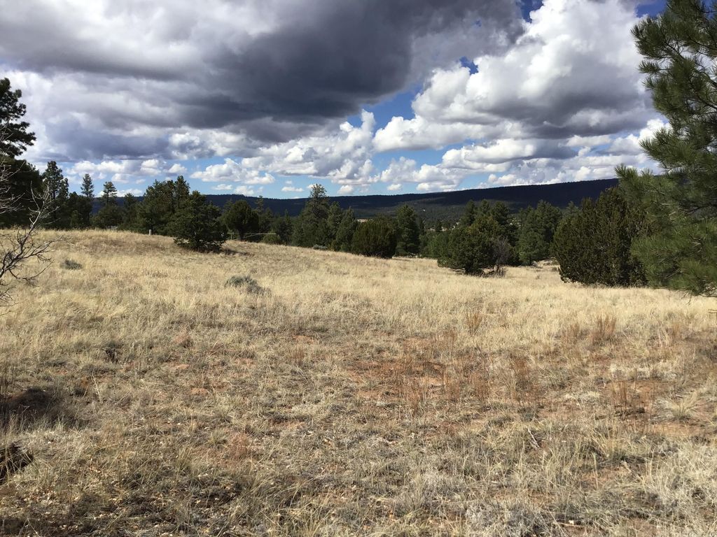 Image 25 of property listing at Lot 28 Monte Vista Lane, Ramah, NM 87321