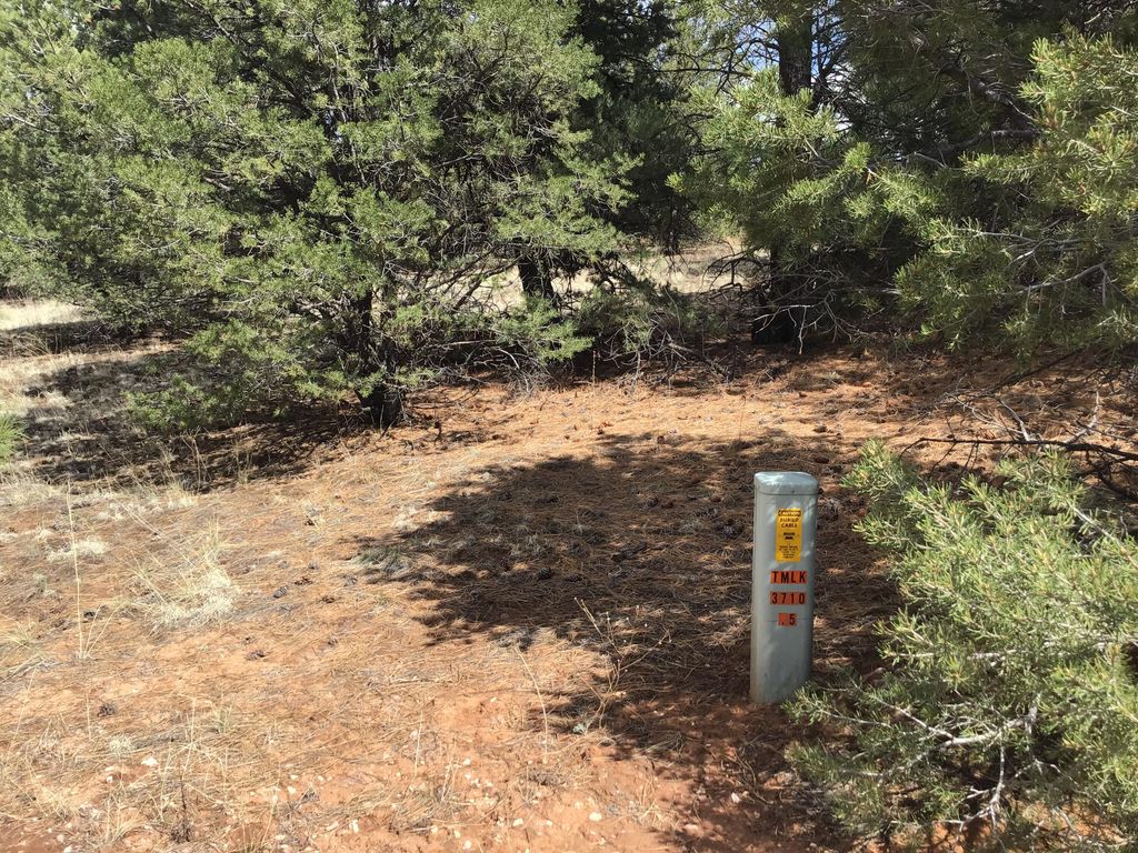 Image 26 of property listing at Lot 28 Monte Vista Lane, Ramah, NM 87321