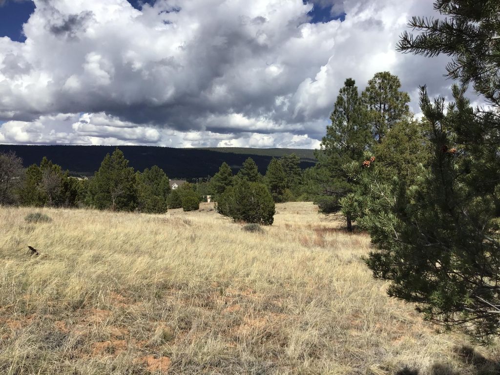 Image 27 of property listing at Lot 28 Monte Vista Lane, Ramah, NM 87321