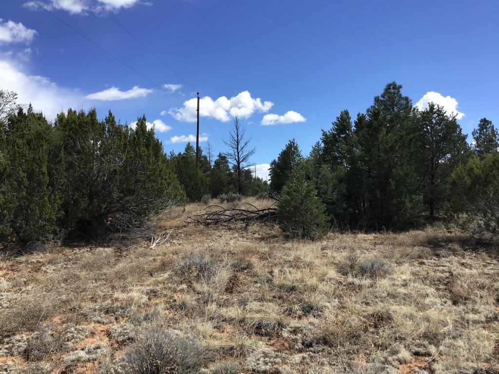 Image 29 of property listing at Lot 28 Monte Vista Lane, Ramah, NM 87321
