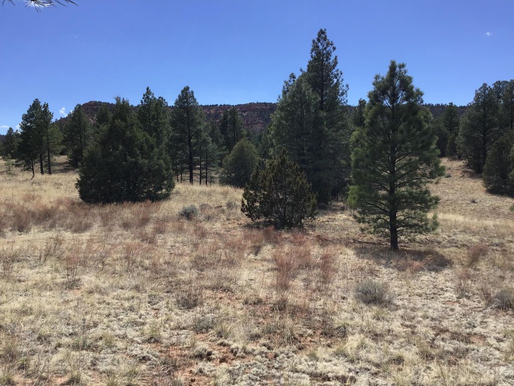 Image 3 of property listing at Lot 28 Monte Vista Lane, Ramah, NM 87321
